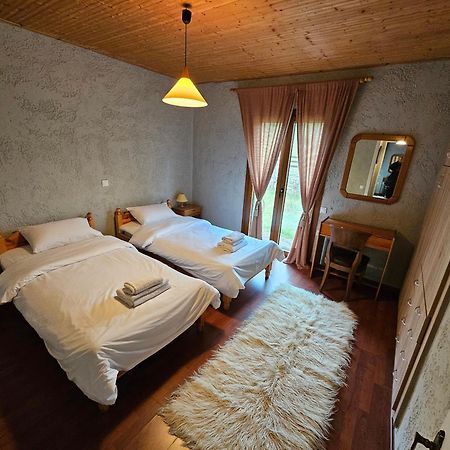 Orino Livadi Mount Villa IV Arachova Exteriér fotografie